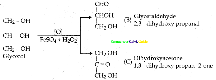 Samacheer Kalvi 12th Chemistry Guide Chapter 11 Hydroxy Compounds and Ethers 87