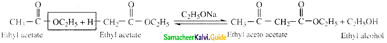 Samacheer Kalvi 12th Chemistry Guide Chapter 12 Carbonyl Compounds and Carboxylic Acids 102