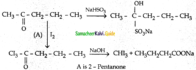 Samacheer Kalvi 12th Chemistry Guide Chapter 12 Carbonyl Compounds and Carboxylic Acids 53