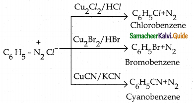 Samacheer Kalvi 12th Chemistry Guide Chapter 13 Organic Nitrogen Compounds 144
