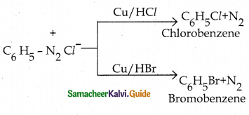 Samacheer Kalvi 12th Chemistry Guide Chapter 13 Organic Nitrogen Compounds 145