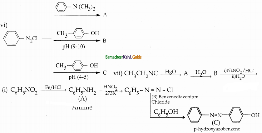 Samacheer Kalvi 12th Chemistry Guide Chapter 13 Organic Nitrogen Compounds 39
