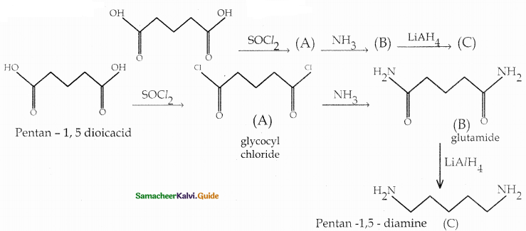 Samacheer Kalvi 12th Chemistry Guide Chapter 13 Organic Nitrogen Compounds 63