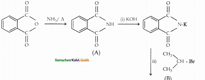 Samacheer Kalvi 12th Chemistry Guide Chapter 13 Organic Nitrogen Compounds 68