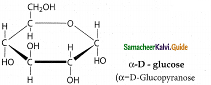 Samacheer Kalvi 12th Chemistry Guide Chapter 14 Biomolecules 10