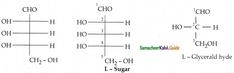 Samacheer Kalvi 12th Chemistry Guide Chapter 14 Biomolecules 11