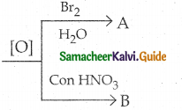 Samacheer Kalvi 12th Chemistry Guide Chapter 14 Biomolecules 12