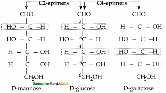 Samacheer Kalvi 12th Chemistry Guide Chapter 14 Biomolecules 16