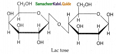 Samacheer Kalvi 12th Chemistry Guide Chapter 14 Biomolecules 18