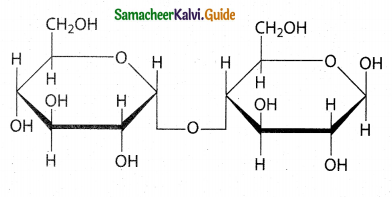 Samacheer Kalvi 12th Chemistry Guide Chapter 14 Biomolecules 19