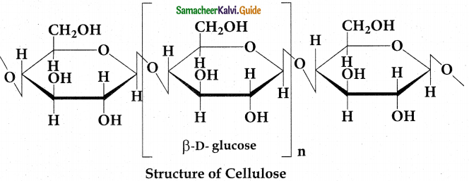 Samacheer Kalvi 12th Chemistry Guide Chapter 14 Biomolecules 20