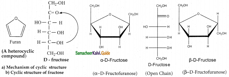 Samacheer Kalvi 12th Chemistry Guide Chapter 14 Biomolecules 25