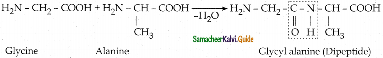 Samacheer Kalvi 12th Chemistry Guide Chapter 14 Biomolecules 27