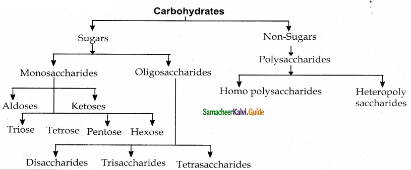Samacheer Kalvi 12th Chemistry Guide Chapter 14 Biomolecules 29