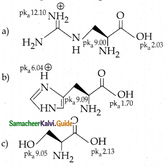 Samacheer Kalvi 12th Chemistry Guide Chapter 14 Biomolecules 3