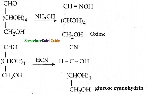 Samacheer Kalvi 12th Chemistry Guide Chapter 14 Biomolecules 31