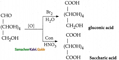 Samacheer Kalvi 12th Chemistry Guide Chapter 14 Biomolecules 32