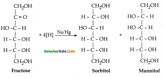 Samacheer Kalvi 12th Chemistry Guide Chapter 14 Biomolecules 35