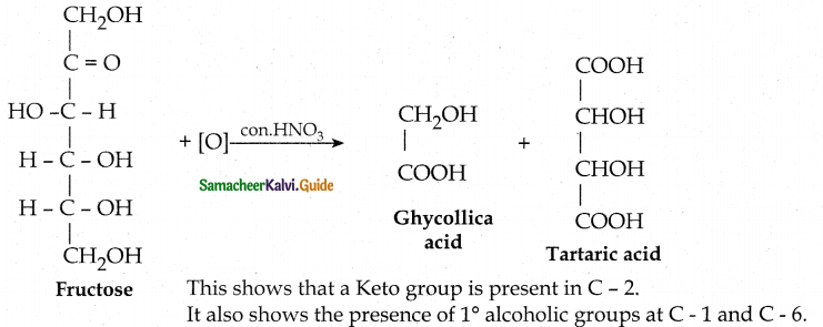 Samacheer Kalvi 12th Chemistry Guide Chapter 14 Biomolecules 37