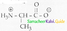 Samacheer Kalvi 12th Chemistry Guide Chapter 14 Biomolecules 6