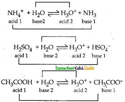 Samacheer Kalvi 12th Chemistry Guide Chapter 8 Ionic Equilibrium 33