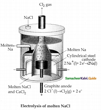 Samacheer Kalvi 12th Chemistry Guide Chapter 9 Electro Chemistry 12