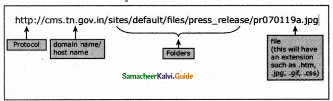 Samacheer Kalvi 12th Computer Applications Guide Chapter 12 DNS (Domain Name System) 1