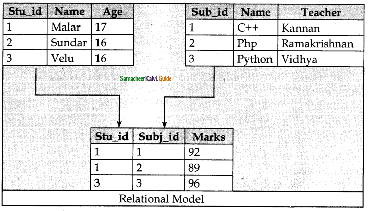 Samacheer Kalvi 12th Computer Science Guide Chapter 11 Database Concepts 3