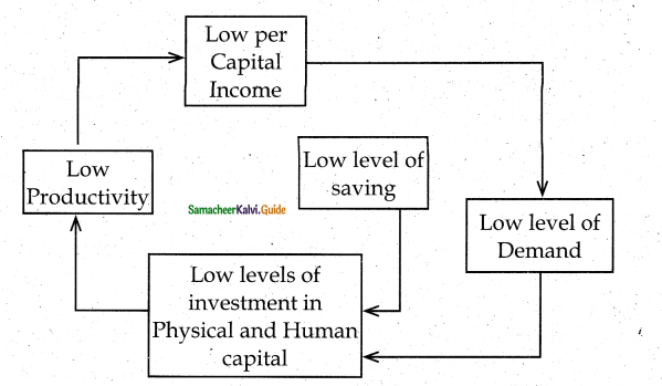 Samacheer Kalvi 12th Economics Guide Chapter 11 Economics of Development and Planning 1