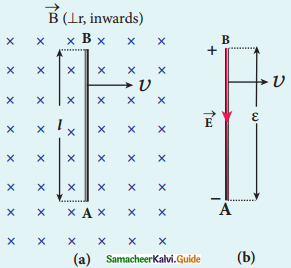 Samacheer Kalvi 12th Physics Guide Chapter 4 Electromagnetic Induction and Alternating Current 19