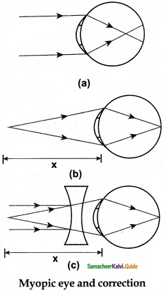 Samacheer Kalvi 12th Physics Guide Chapter 6 Optics 101