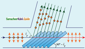 Samacheer Kalvi 12th Physics Guide Chapter 6 Optics 30