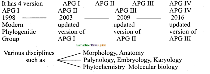 Samacheer Kalvi 11th Bio Botany Chapter 5 Taxonomy and Systematic Botany 20
