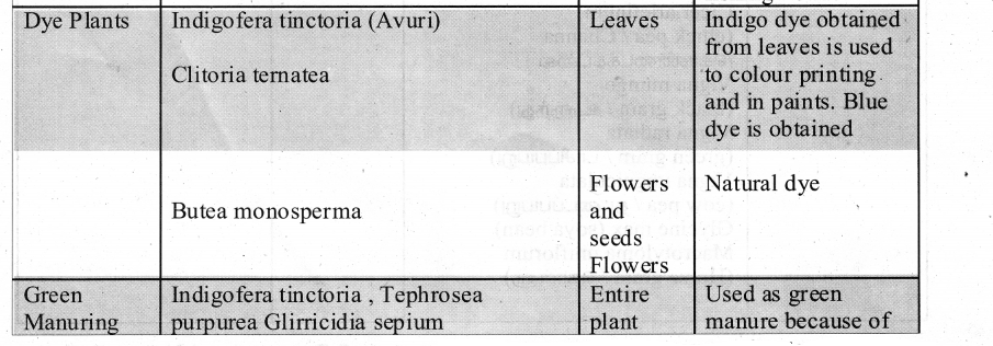 Samacheer Kalvi 11th Bio Botany Chapter 5 Taxonomy and Systematic Botany 34
