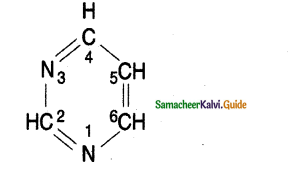 Samacheer Kalvi 11th Bio Botany Guide Chapter 8 Biomolecules 5