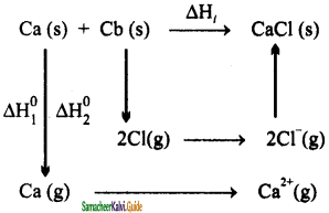 Samacheer Kalvi 11th Chemistry Guide Chapter 7 Thermodynamics 1