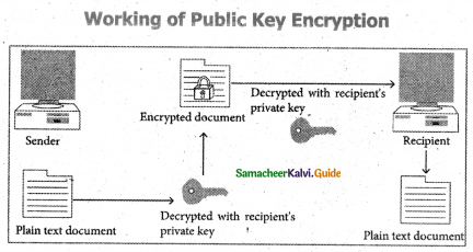 Samacheer Kalvi 11th Computer Science Guide Chapter 17 Computer Ethics and Cyber Security 11