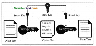 Samacheer Kalvi 11th Computer Science Guide Chapter 17 Computer Ethics and Cyber Security 2