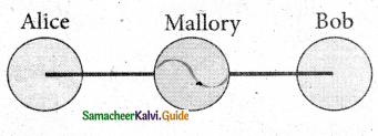 Samacheer Kalvi 11th Computer Science Guide Chapter 17 Computer Ethics and Cyber Security 7