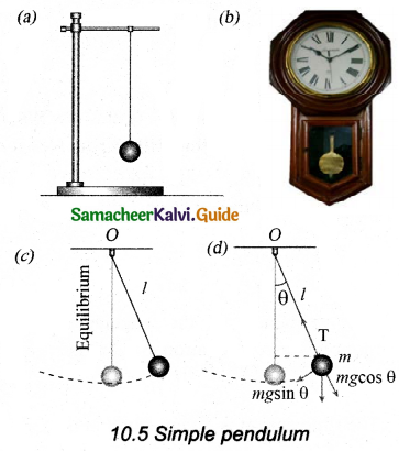 Samacheer Kalvi 11th Physics Guide Chapter 10 Oscillations 17