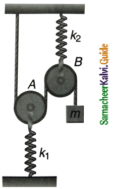Samacheer Kalvi 11th Physics Guide Chapter 10 Oscillations 3