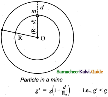 Samacheer Kalvi 11th Physics Guide Chapter 6 Gravitation 25