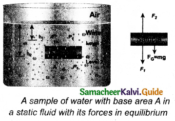 Samacheer Kalvi 11th Physics Guide Chapter 7 Properties of Matter 17