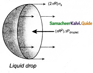Samacheer Kalvi 11th Physics Guide Chapter 7 Properties of Matter 26