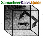 Samacheer Kalvi 11th Physics Guide Chapter 8 Heat and Thermodynamics 10