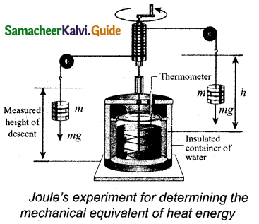 Samacheer Kalvi 11th Physics Guide Chapter 8 Heat and Thermodynamics 22