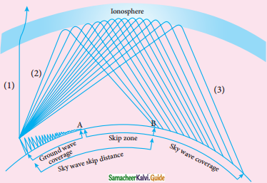 Samacheer Kalvi 12th Physics Guide Chapter 10 Communication Systems 9