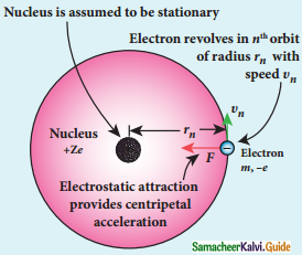 Samacheer Kalvi 12th Physics Guide Chapter 8 Atomic and Nuclear Physics 13