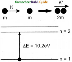 Samacheer Kalvi 12th Physics Guide Chapter 8 Atomic and Nuclear Physics 31