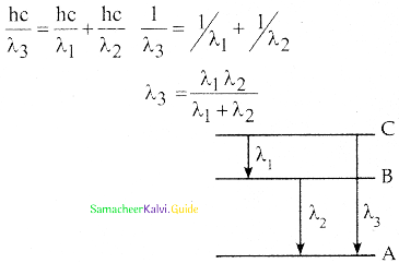 Samacheer Kalvi 12th Physics Guide Chapter 8 Atomic and Nuclear Physics 41